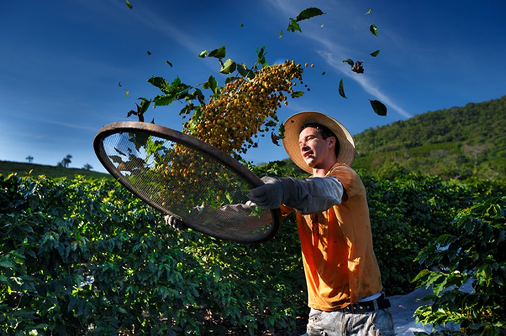 Nas Fazendas Sertãozinho, a preocupação com a sustentabilidade passa por todas as etapas de produção (Foto: Divulgação)