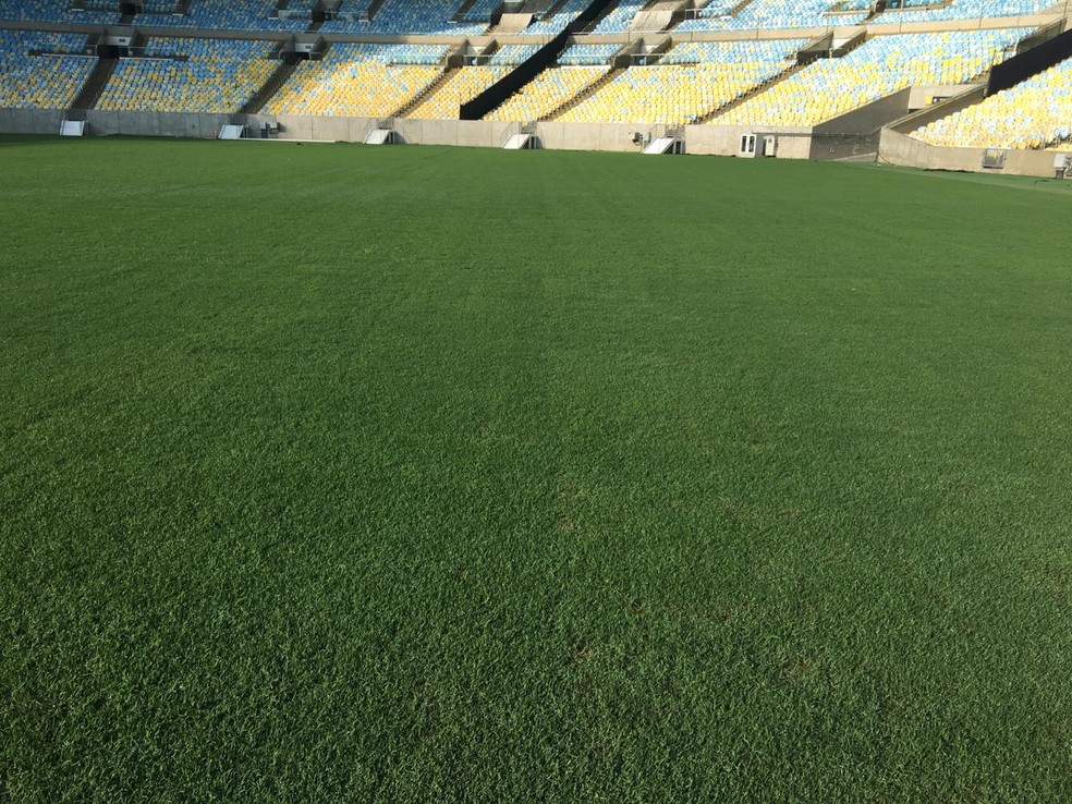 Gramado do Maracan&atilde; para Flamengo x Galo &mdash; Foto: Divulga&ccedil;&atilde;o