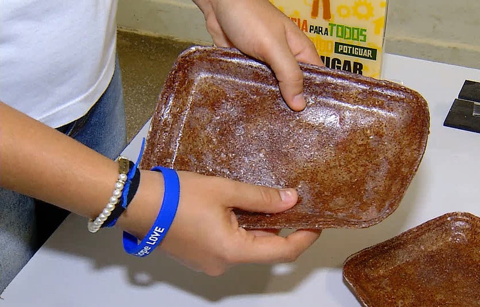 Estudantes potiguares sÃ£o premiadas com projeto de embalagem feita com folha de cajueiro (Foto: ReproduÃ§Ã£o/Inter TV Costa Branca )