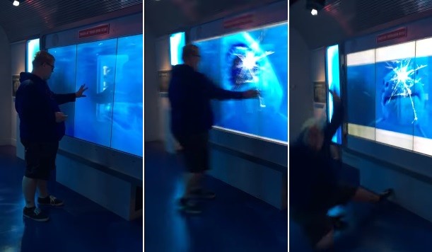 'Ataque' de tubarão em museu de Washington