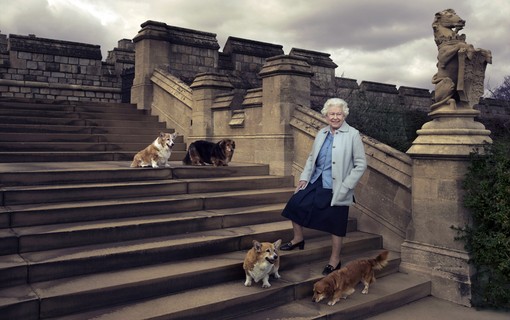 Rainha Elizabeth II com seus quatro cachorros: Willow, Vulcan, Candy e Holly