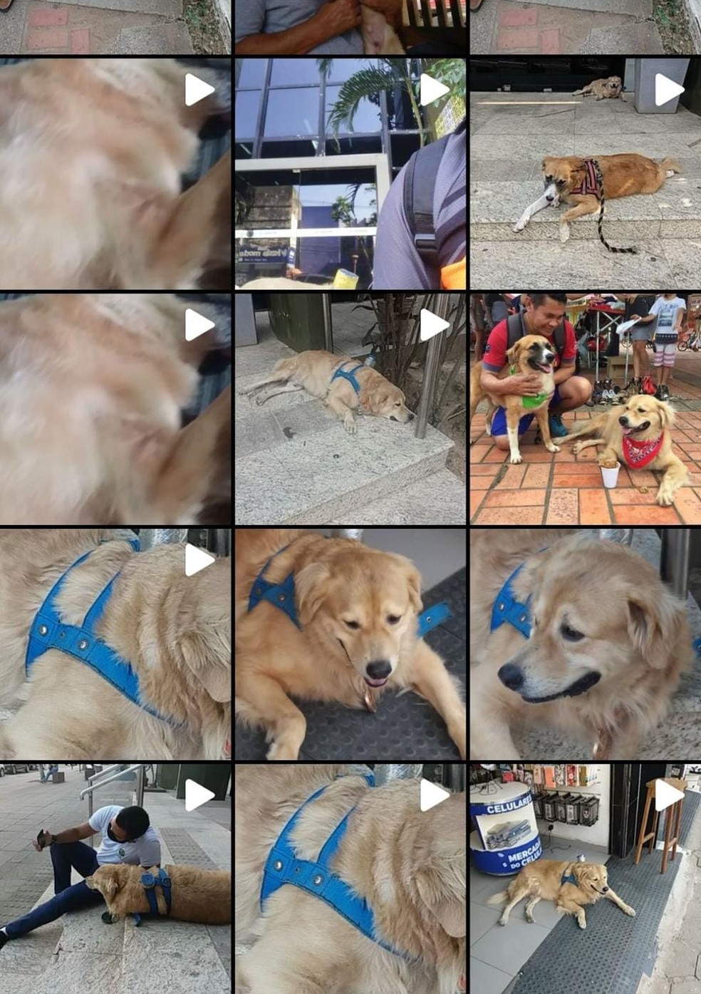 Página do Instagram mostra a rotina de Damião  — Foto: Reprodução
