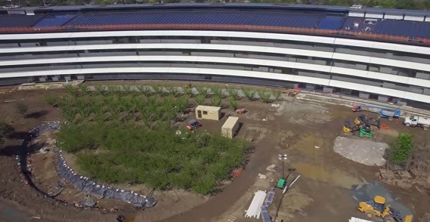 O jardim está sendo instalado na nova sede da Apple (Foto: Reprodução/YouTube Matthew Roberts)