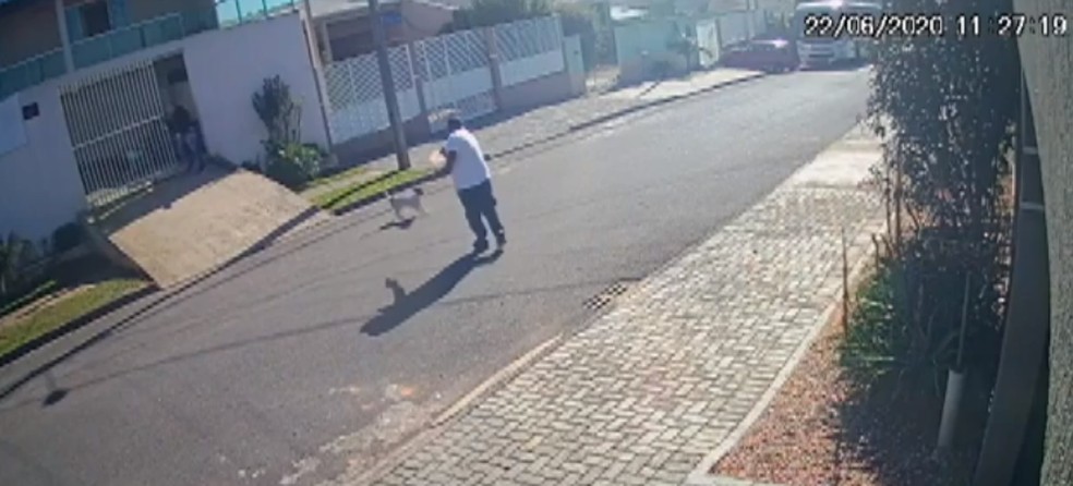 Homem é suspeito de matar cachorro com tiro em Fazenda Rio Grande — Foto: Reprodução/RPC