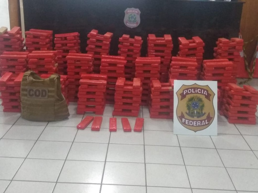 Motorista é preso pela PF com quase meia tonelada de maconha em porta-malas de carro em MT — Foto: Polícia Federal de Mato Grosso