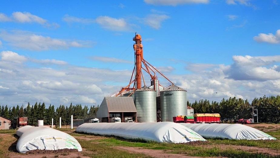 Após o uso, o silo-bolsa é utilizado na fabricação de sacolas de lixo e embalagens