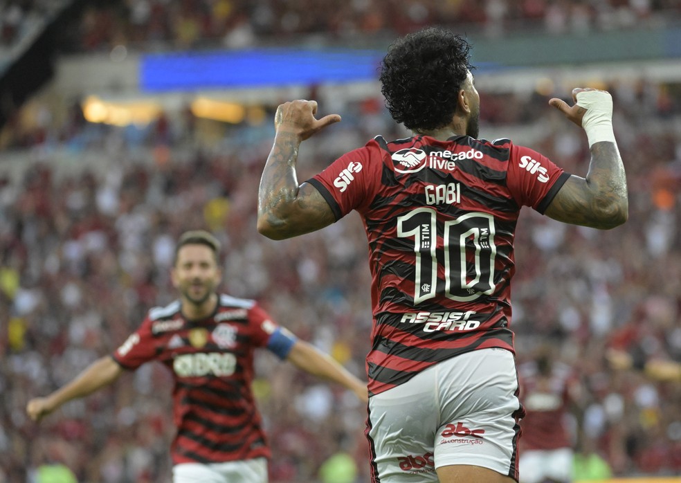 Gabigol comemora gol do Flamengo contra a Portuguesa — Foto: André Durão