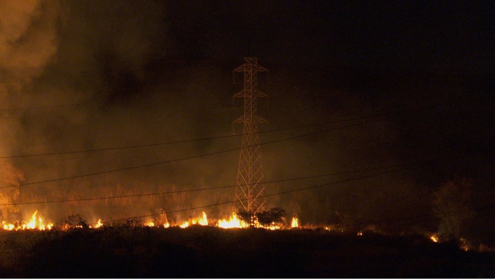 Regi&atilde;o de Ribeir&atilde;o Preto (SP) tem 264 interrup&ccedil;&otilde;es na rede el&eacute;trica causadas por inc&ecirc;ndios no primeiro semestre &mdash; Foto: Reprodu&ccedil;&atilde;o / EPTV