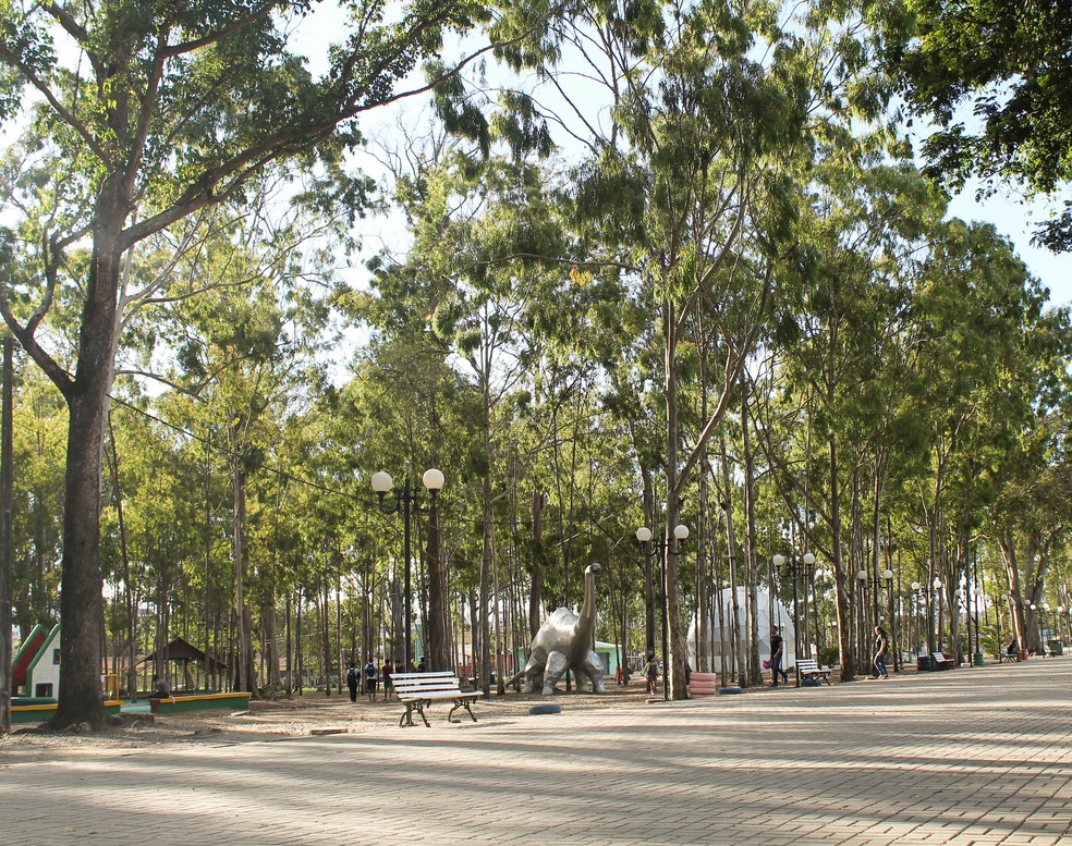 Parque Euclides Dourado, conhecido como Parque dos Eucaliptos, em Garanhuns (PE) — Foto: Camila Queiroz/Divulgação