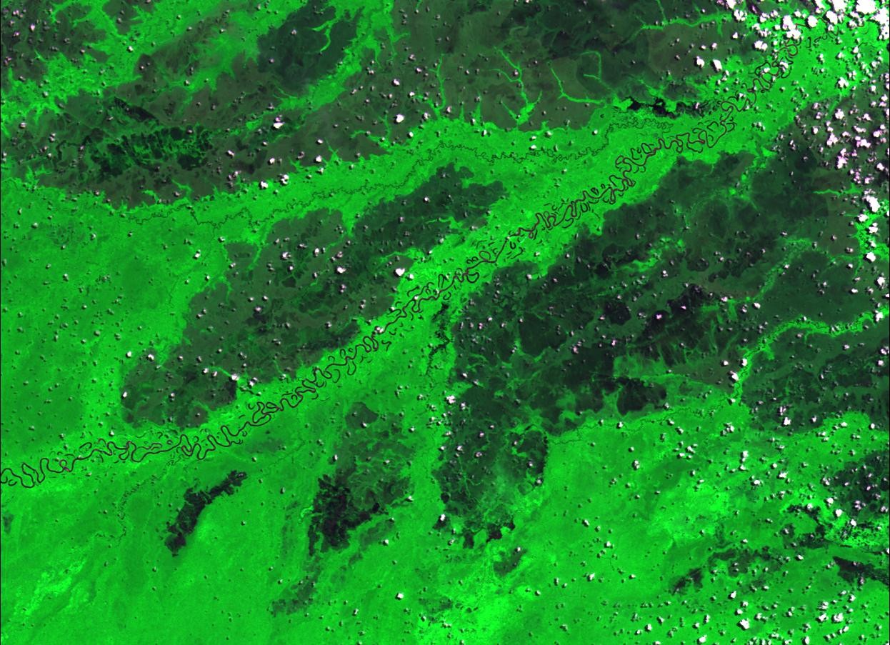 Inpe divulga primeiras imagens feitas pelo satélite Amazônia 1; FOTOS thumbnail