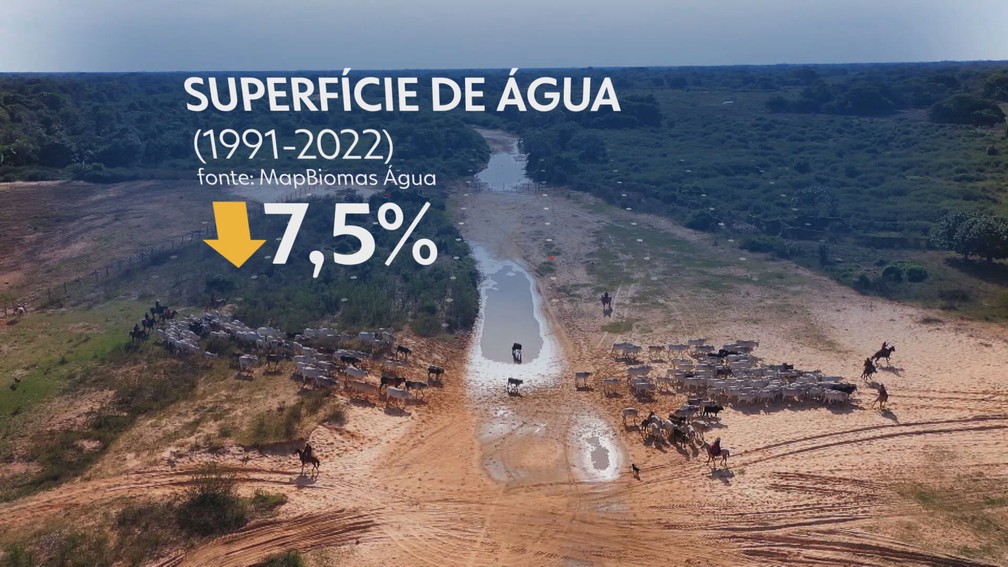 Em 31 anos, Brasil perdeu o equivalente a dez cidades de São Paulo em superfície de água — Foto: JN