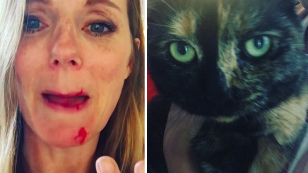 A Spice Girl Geri Halliwell ferida e suas gatas (Foto: Instagram)
