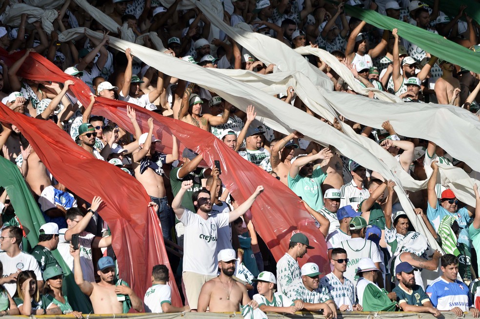 Palmeiras Admite Vazamento De Dados De Socios E Aponta Falha Da Futebolcard Palmeiras Ge