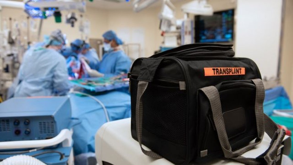 Como transplante raro de pulm&otilde;es deu esperan&ccedil;a a paciente de c&acirc;ncer em  est&aacute;gio terminal | Ci&ecirc;ncia | G1