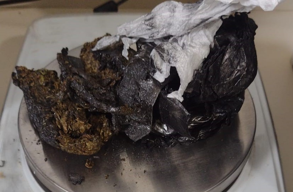 Em Flórida Paulista (SP), visitante tentou adentrar à penitenciária com invólucros contendo porções de maconha — Foto: SAP
