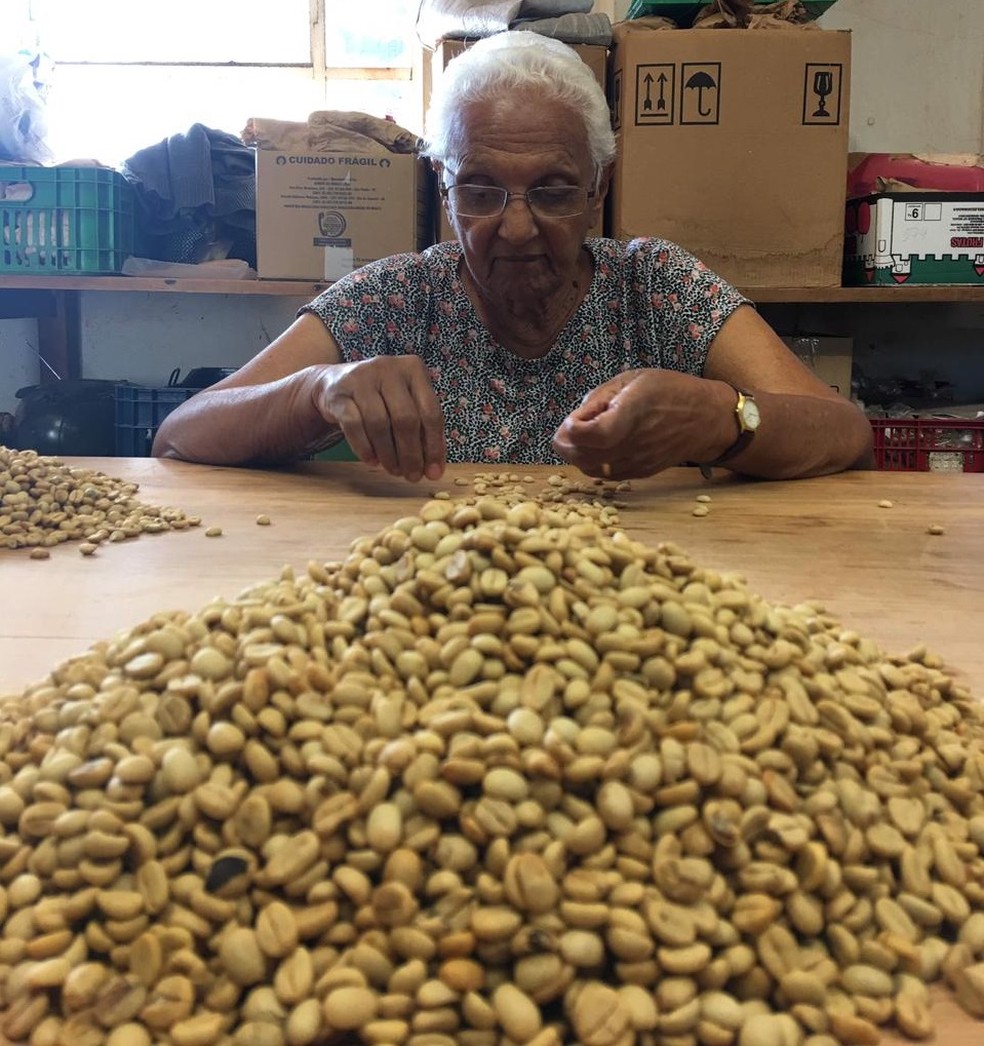 Dona Ivone mexendo em grãos de café no Instituto Agronômico de Campinas (IAC). — Foto: Sergio Parreiras Pereira