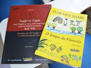 Livros lançados em 2010 e 2011 (Foto: Paula Casagrande/G1)