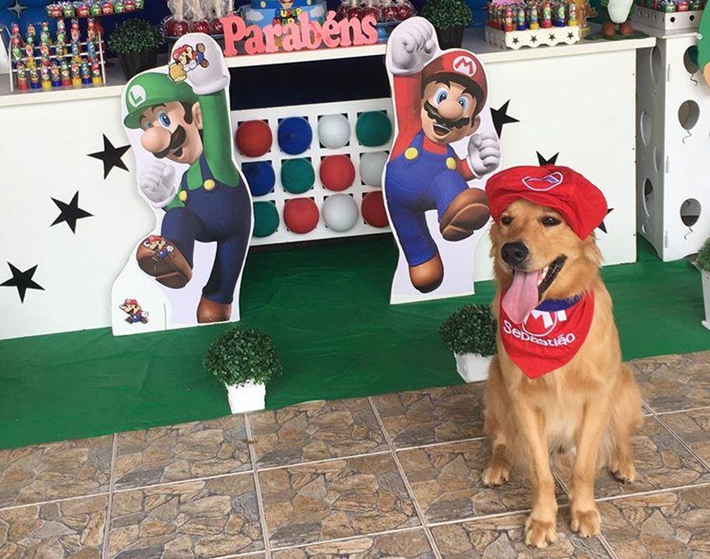 Cachorro Ganha Festa De R 5 Mil Com Bolo Coxinha E Brigadeiro Caninos Nosso Filho Itapetininga E Regiao G1