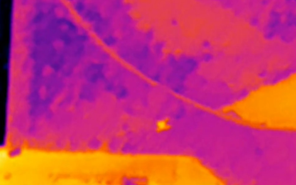 Imagem térmica de drone exemplifica como é feito o registro de pessoas pelo calor do corpo — Foto: Reprodução/TV Anhanguera
