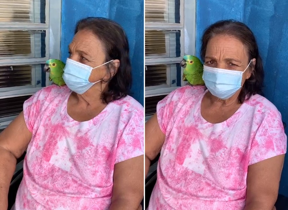 Dona Jacira tem papagaio há mais de 30 anos em Porangaba — Foto: Arquivo pessoal