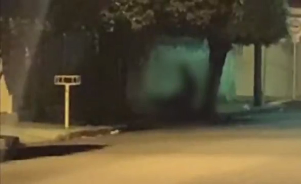 Casal foi flagrado fazendo sexo em rua de Potirendaba (SP) — Foto: Reprodução
