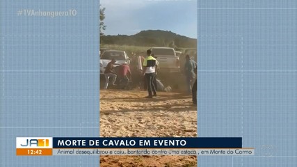 Cavalo morre em evento agropecuário em Monte do Carmo; animal bateu em estaca
