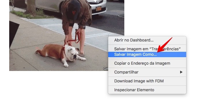 Salvando imagem GIF no computador (Foto: Reprodução/Helito Bijora) 