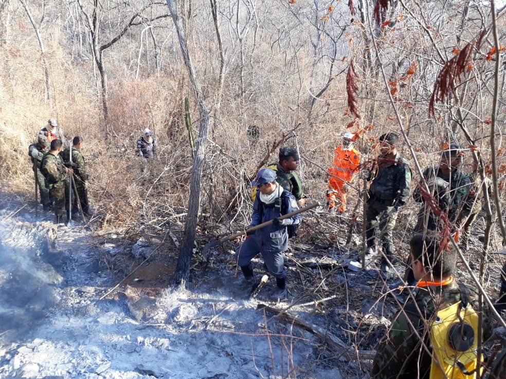Homens dos Bombeiros e Exército fazem trabalho de combate — Foto: Eduardo Gomes / Arquivo Pessoal