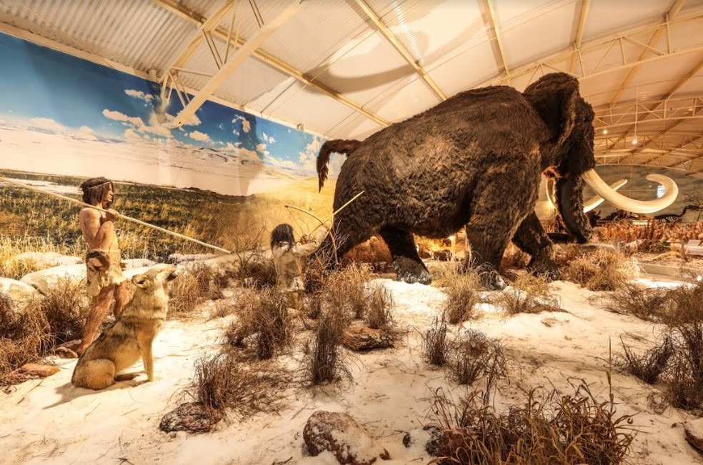 Zoológico de Itatiba inaugura o maior museu de história natural da América Latina — Foto: Divulgação/Zooparque Itatiba