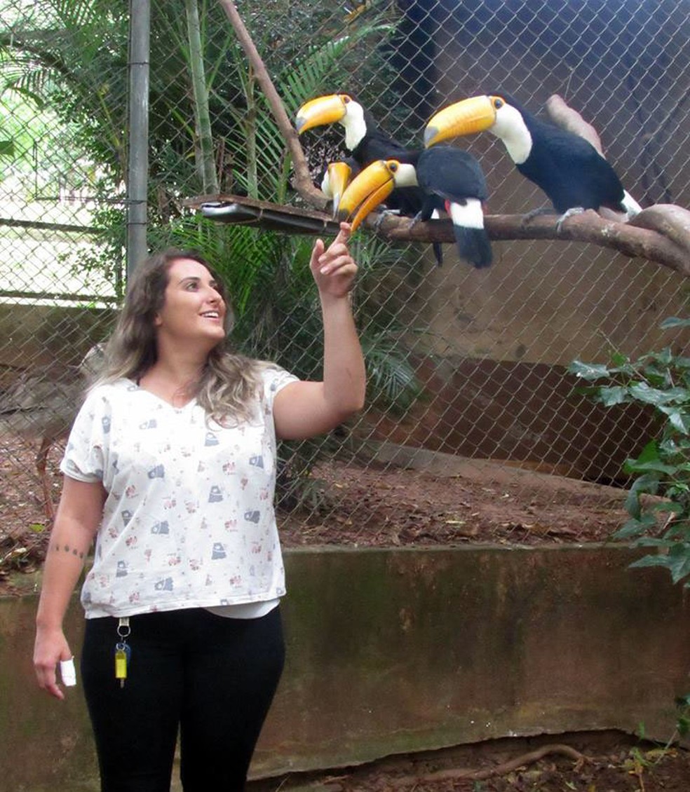Tucanos estão no aviário da Cidade da Criança — Foto: Divulgação
