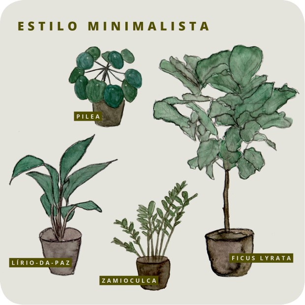 Saiba como escolher a planta ideal para o seu estilo de décor (Foto: Ilustração por Thalita Munekata)