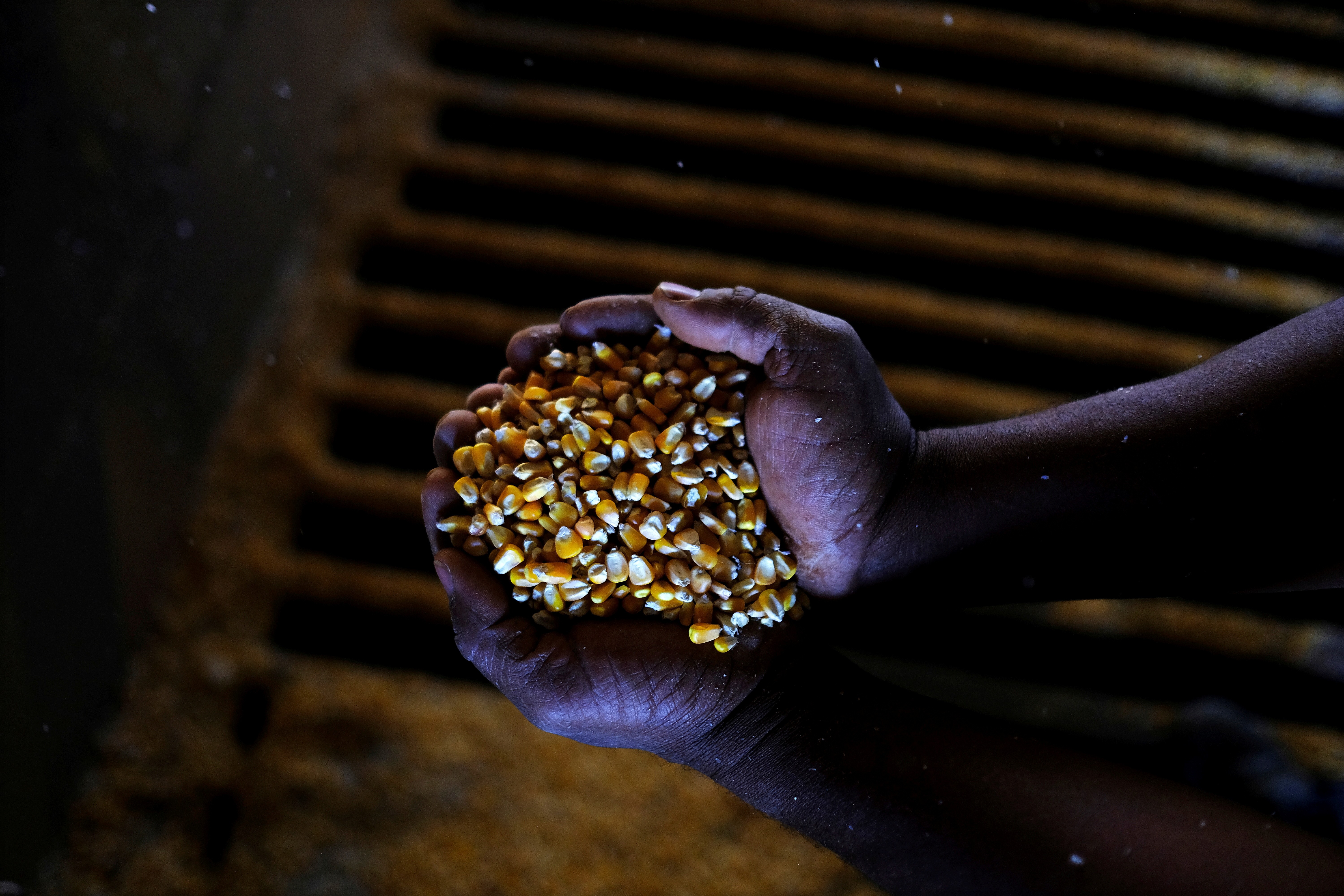 Porção de milho (Foto: REUTERS/Nacho Doce)