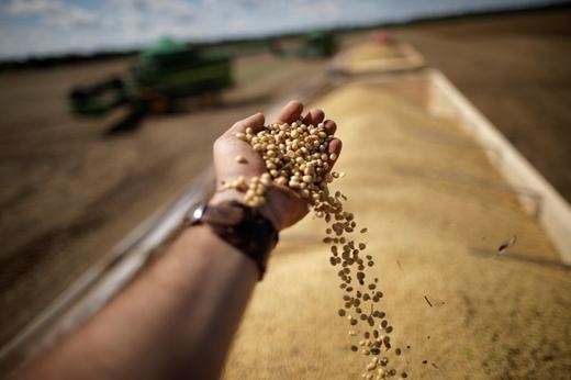 Colheita de grãos em Caseara, Brasil (Foto: Reuters/Ueslei Marcelino)