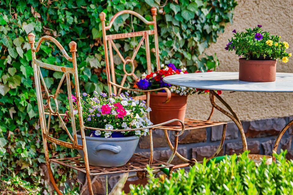 Colunista de Casa e Jardim ensina a cuidar das plantas e flores na primavera (Foto: Pixabay / Klickblick / CreativeCommons)