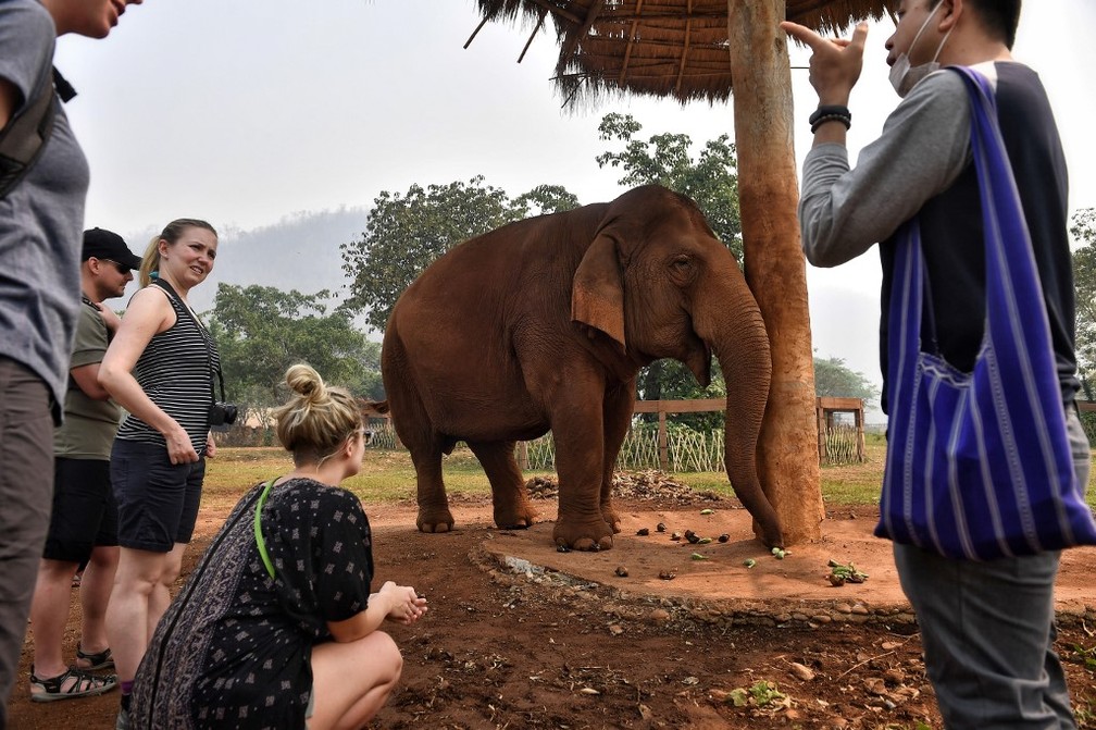 Turistas visitam santuário de elefantes na Tailândia em 13 de março, antes da piora da pandemia do novo coronavírus — Foto: Lillian Suwanrumpha/AFP