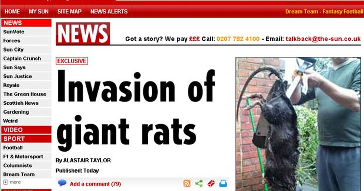 Mais um rato gigante é capturado na Inglaterra e especialistas alertam para  invasão de roedores - Mundo - Extra Online