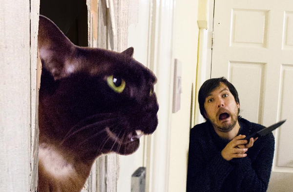 David Chapman recriou cenas de vários clássicos do cinema com seus gatos (Foto: Instagram)