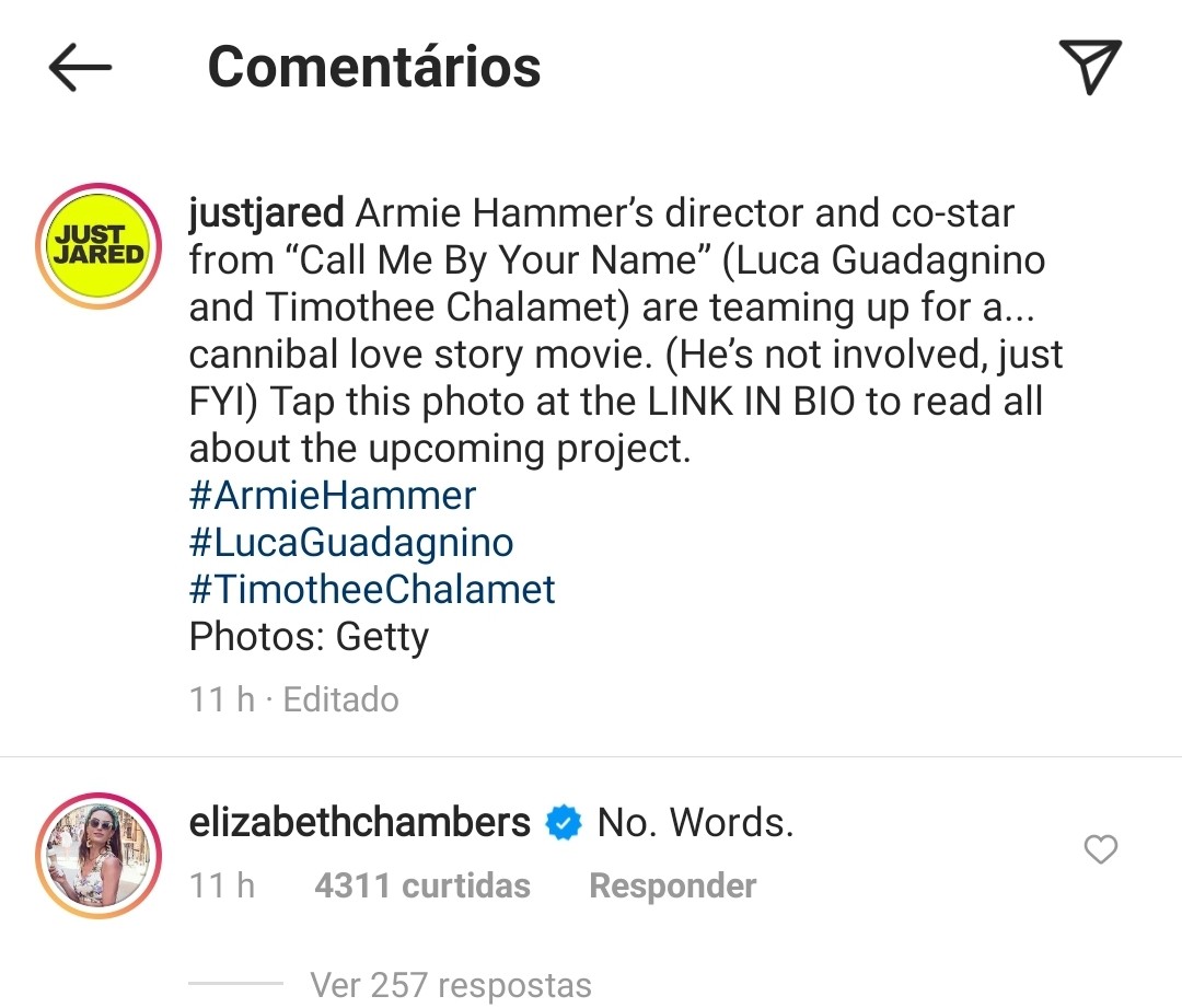 Elizabeth Chambers comenta notícia de filme sobre canibalismo em meio a controvérsia envolvendo Armie Hammers (Foto: Reprodução / Instagram)