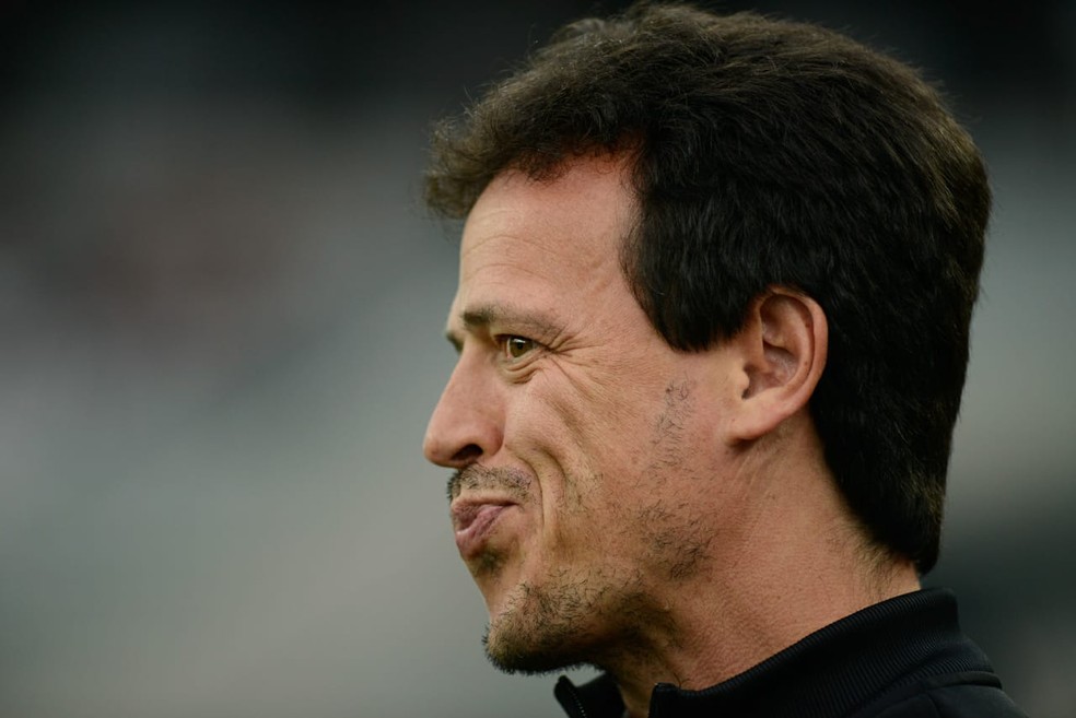 Fernando Diniz está próximo do Fluminense — Foto: Henry Milleo/Gazeta do Povo