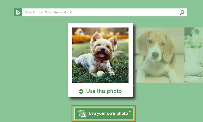 Selecione o botão para escolher uma foto do usuário ou do seu pet (Foto: Reprodução/Barbara Mannara)