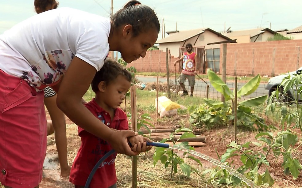 Pais tambÃ©m ajudam os filhos em horta comunitÃ¡ria em Araraquara (Foto: Felipe Lazzarotto/EPTV)