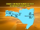 Cidades de SC fazem neste sábado (12) mutirões contra o Aedes aegypti 