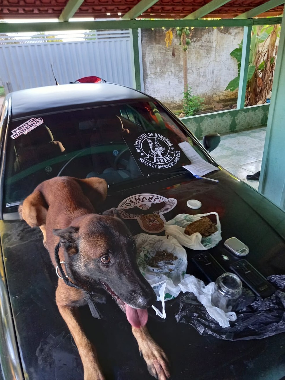 Polícia Civil apreende drogas em nova fase da operação  Exctasy — Foto: Divulgação