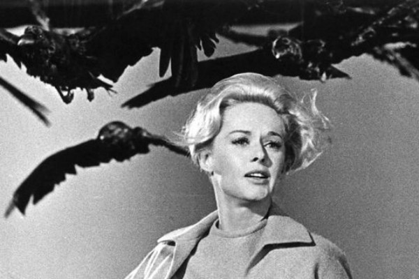 Tippi Hedren em cena de 'Os Pássaros' (1963) (Foto: Reprodução)