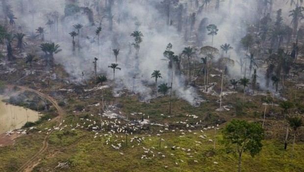 Ex-ministro aponta que para atrair investidores internacionais seria importante para o Brasil trazer os níveis de desmatamento na Amazônia para os valores medidos em 2012 (Foto: GreenPeace/Daniel Beltra via BBC News Brasil)