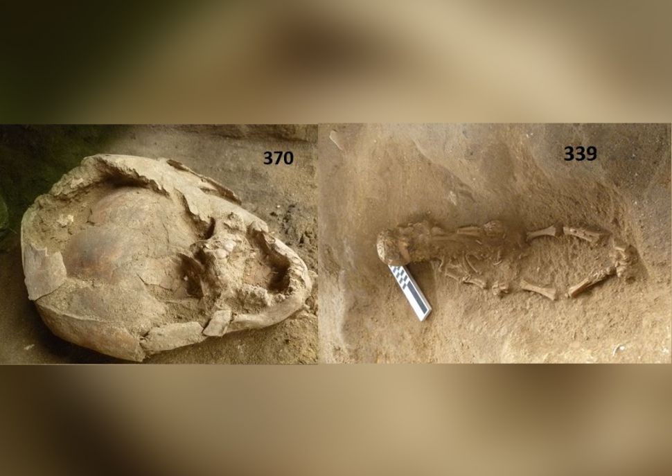 No Equador, arqueólogos encontraram as cabeças de dois bebês cobertas com crânios de outras duas crianças (Foto: Sara Juengst/UNC Charlotte)