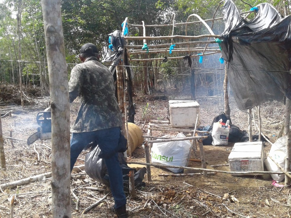 Foco de invasão em área verde de Manaus — Foto: Divulgação/Semmas