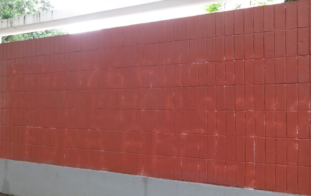 muro laranjeiras pichação (Foto: Edgard Maciel de Sá)
