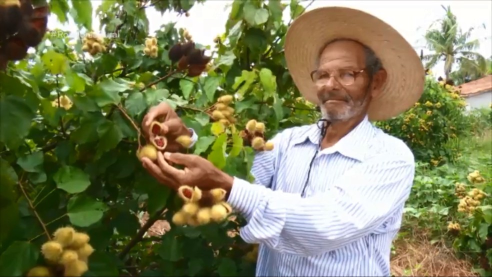 Agricultor de Ariquemes já sonha com a agroindústria — Foto: Rede Amazônica/Reprodução
