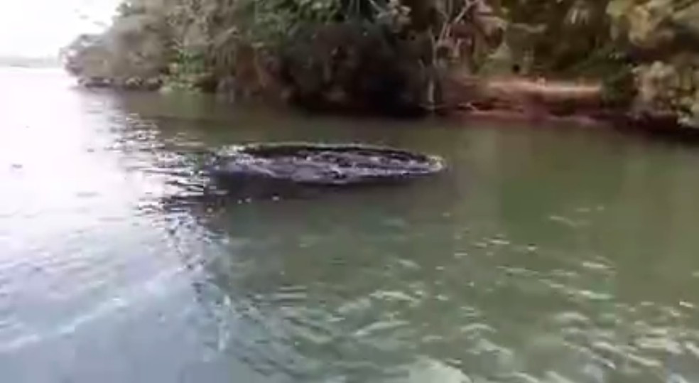 Pescadores da regiÃ£o dizem que mau cheiro Ã© forte no trecho onde apareceram as manchas, em Alagoas â Foto: ReproduÃ§Ã£o